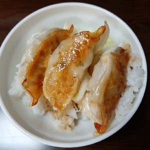 餃子丼